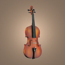 Violin/Viola No. 12