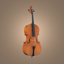 Cello No. 504