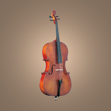 Cello No. 508