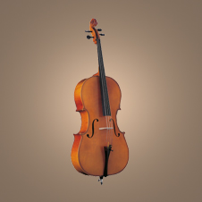 Cello No. 512