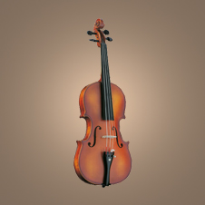 Violin/Viola No. 65 A