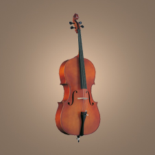 Cello No. 7