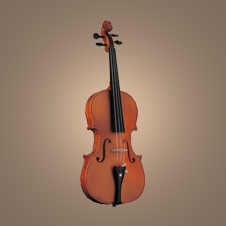 Violin/Viola No. 70/170