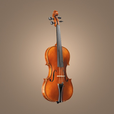 Violin/Viola No. 75